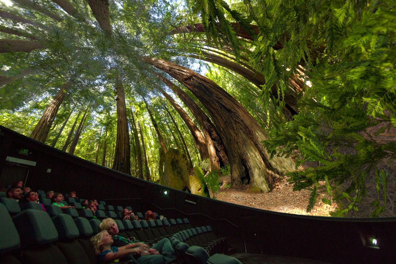 城市展馆设计公司